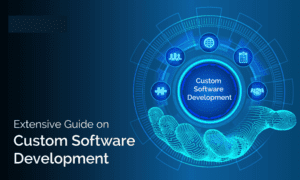 Read more about the article From Concept to Launch: A Case Study Approach to Developing Custom Software Solutions